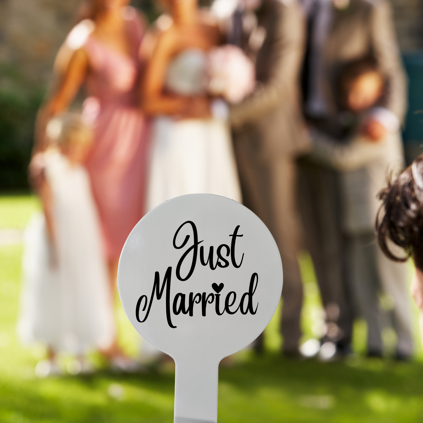 Photo Prop Paddle - Just Married, Got Hitched